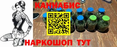 прущие крисы Бердск